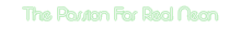 The Passion For Real Neon